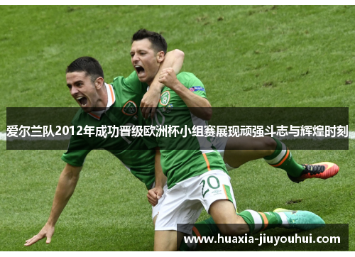 爱尔兰队2012年成功晋级欧洲杯小组赛展现顽强斗志与辉煌时刻 爱尔兰队2012年成功晋级欧洲杯小组赛展现顽强斗志与辉煌时刻