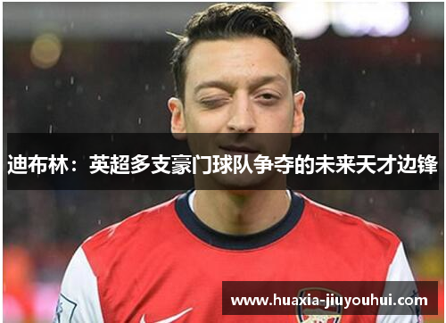 迪布林:英超多支豪门球队争夺的未来天才边锋 迪布林:英超多支豪门球队争夺的未来天才边锋